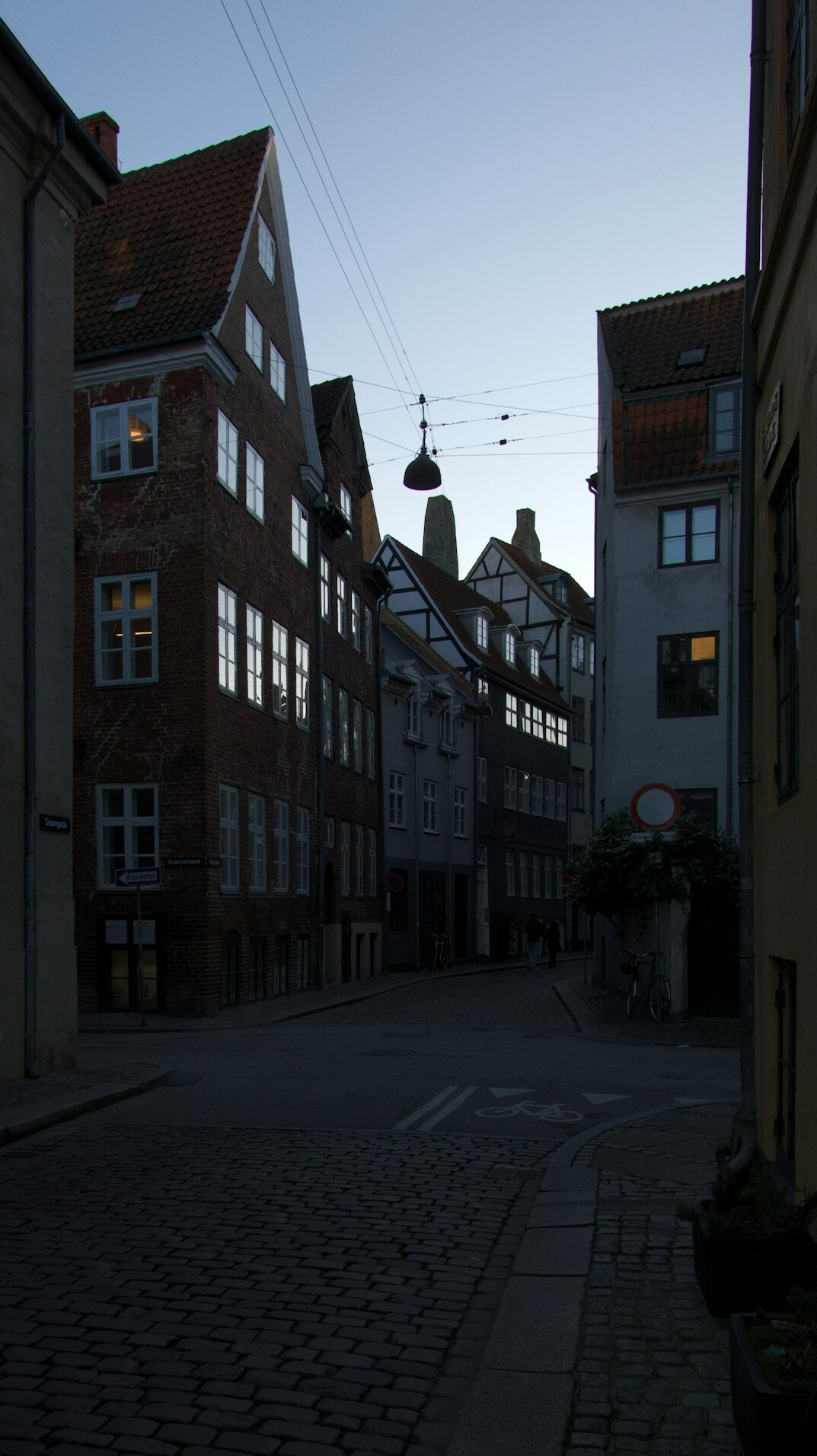 A small group following a guide through a cobblestone street in Denmark